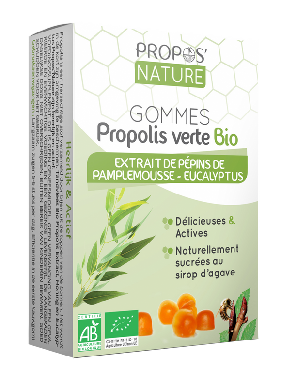 Gomas S/ Açúcar Eucalipto 45g- Propos Nature - Crisdietética